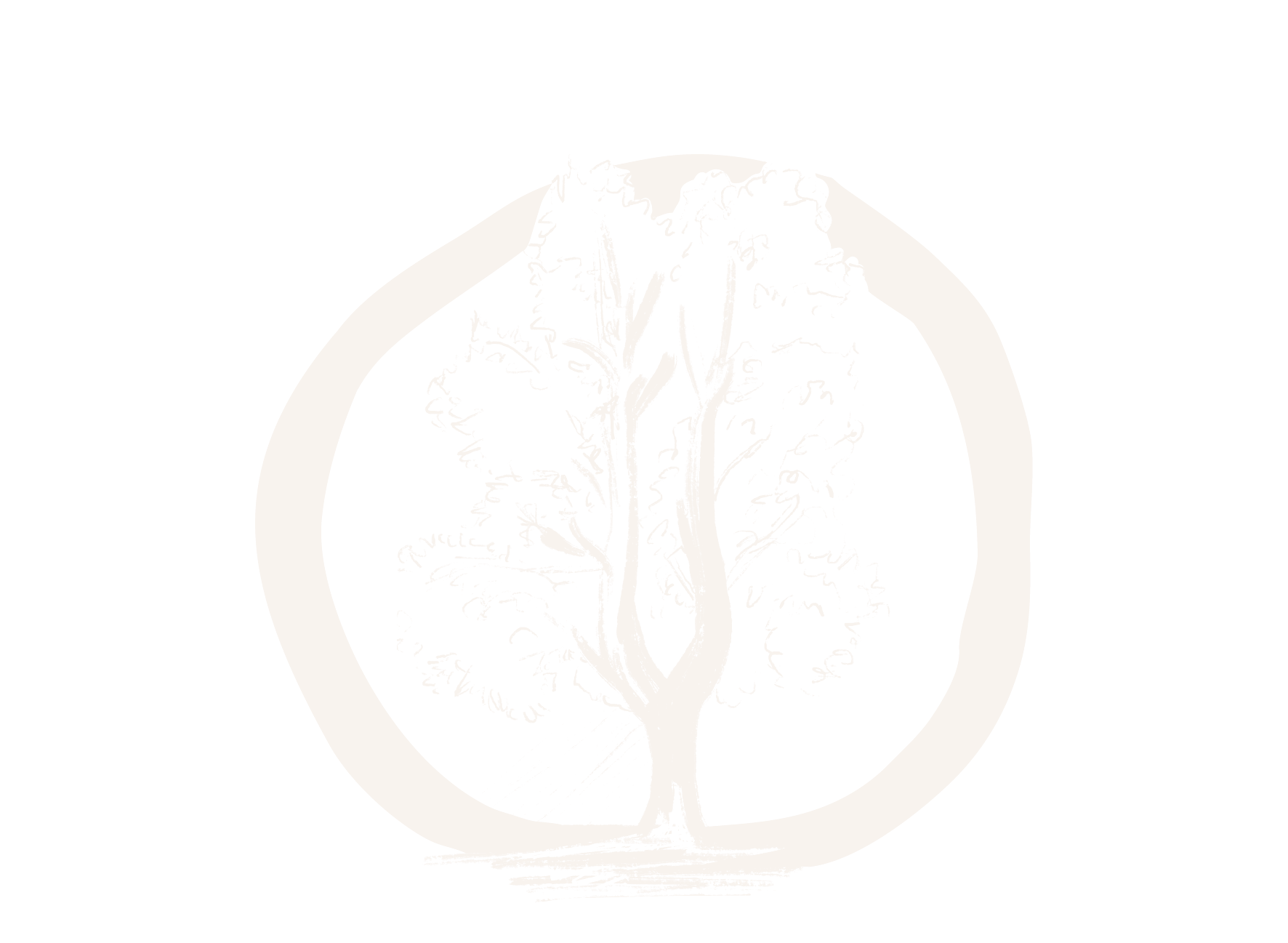 Le Cyprès chauve